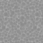 Picture of Bumbleberries - SS21 - Charming Squares