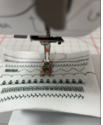 Picture of Bernina 325 Sewing Machine
