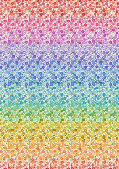 Lewis and Irene Boho Blooms Ombre L13
