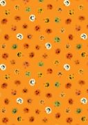 Transylvania glow L8B Scattered jack o lanterns
