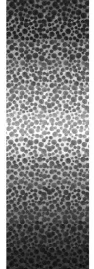 Picture of Lewis & Irene BBOM6 Bumbleberries Black to White Ombre