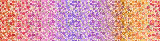 Berry boho bloom ombre - OM3B